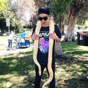 Meet your Posher, Bongho